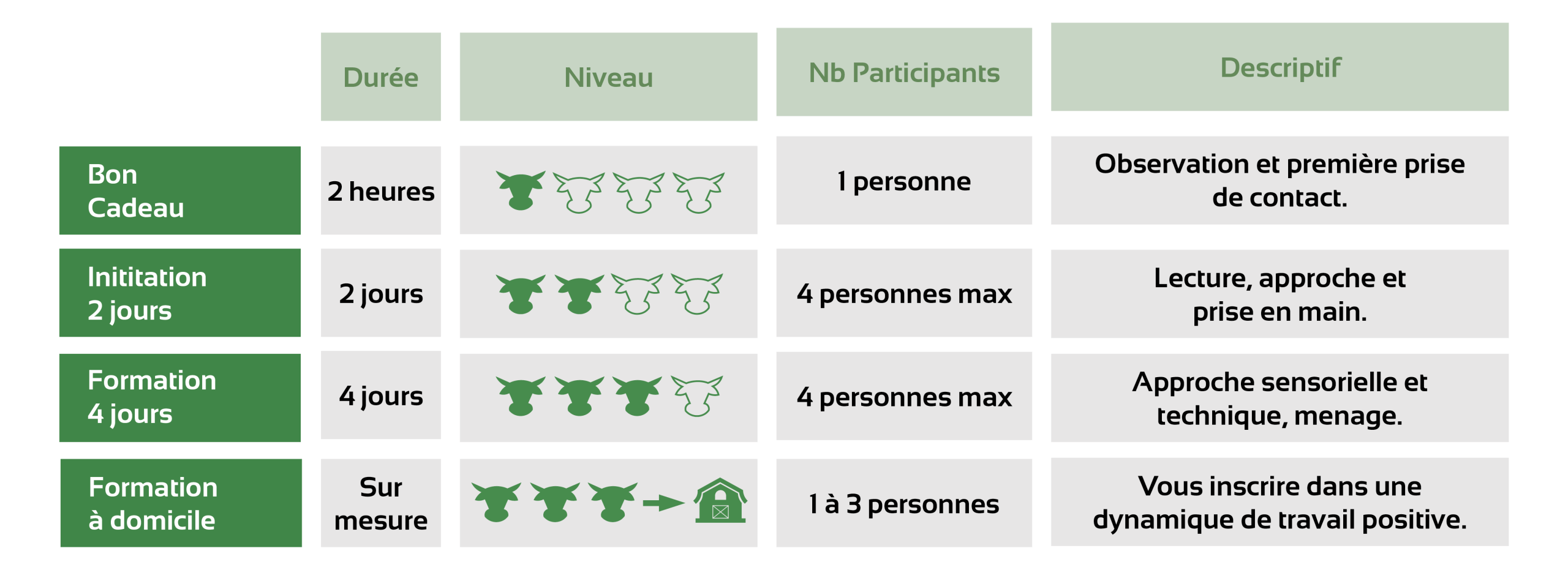 Formation traction bovine - Vendée