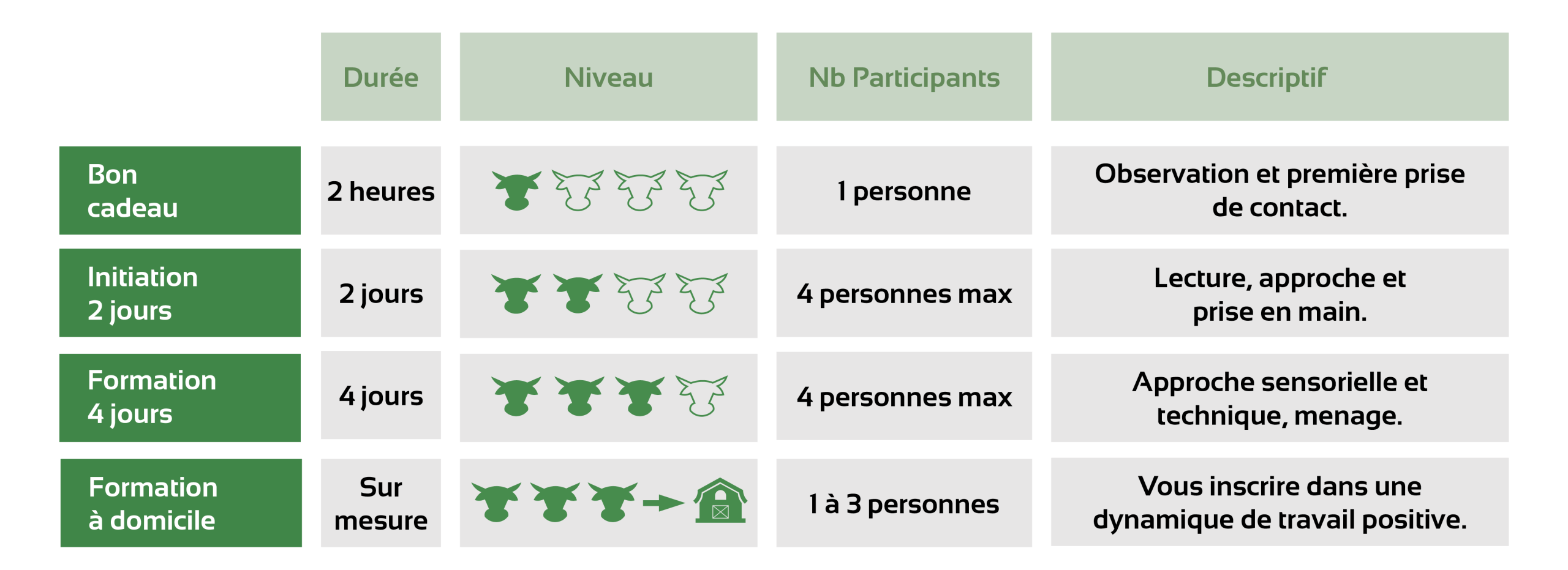 Formation traction bovine - Vendée