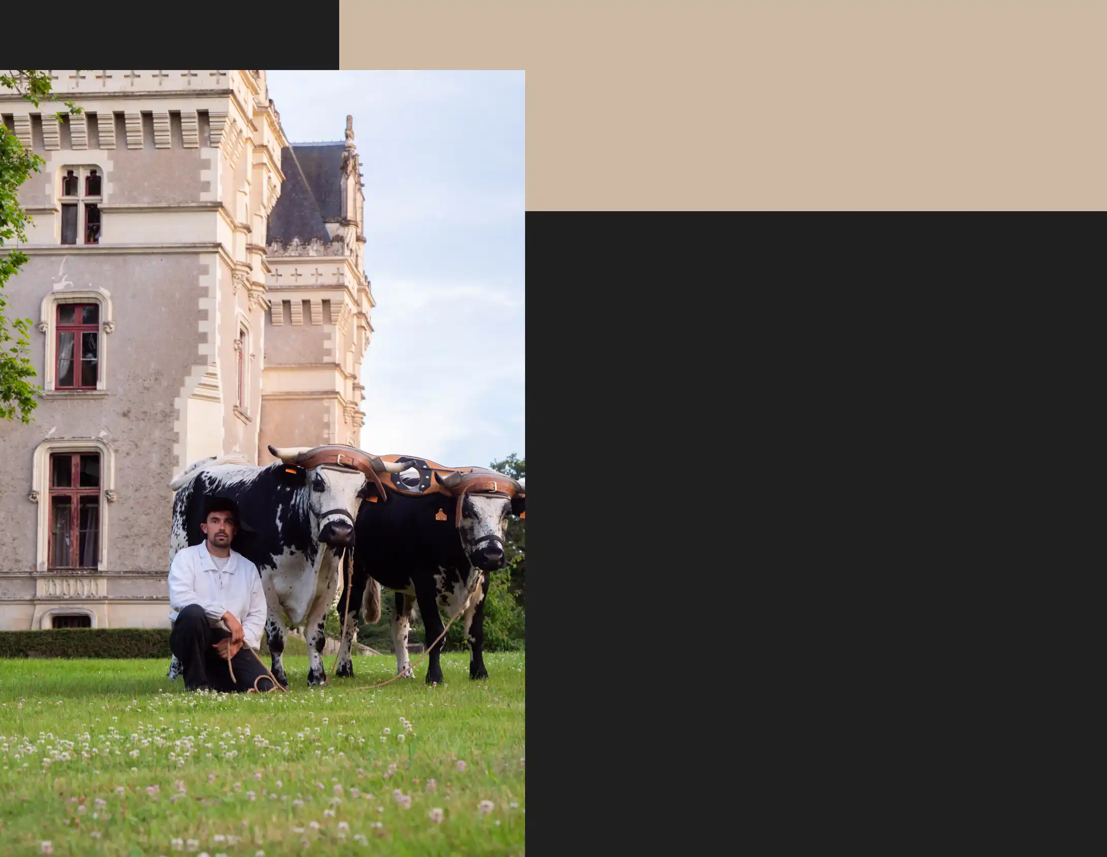 reconstitution historique